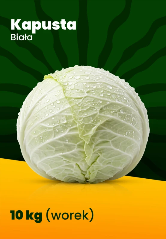 kapusta_b.jpg