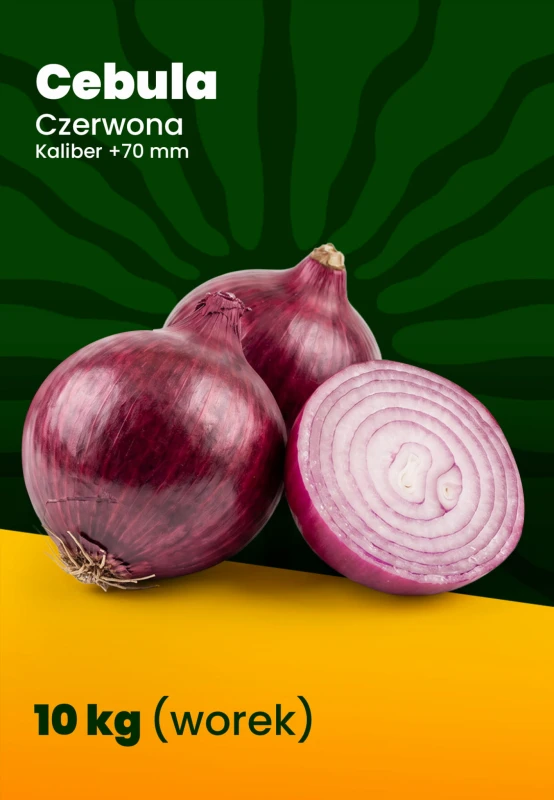 cebula_c.jpg
